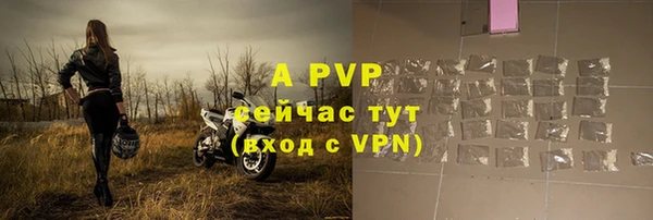 гидра Белокуриха
