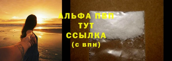 гидра Белокуриха