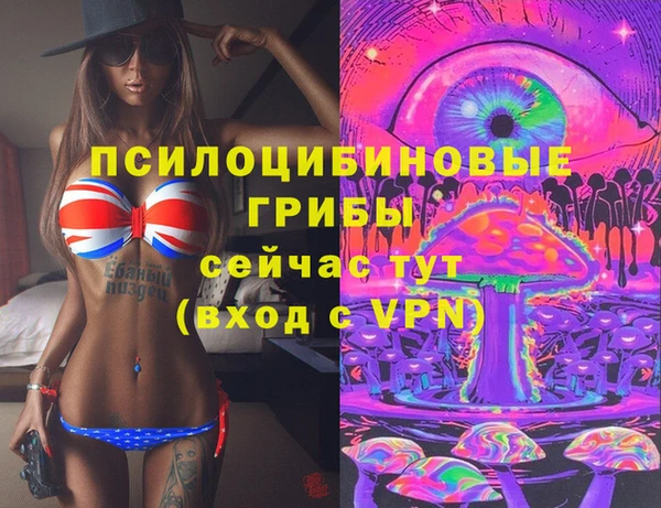 гидра Белокуриха