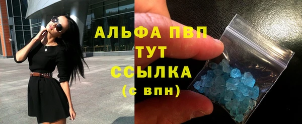 гидра Белокуриха
