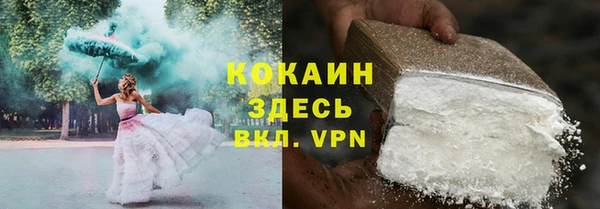 гидра Белокуриха