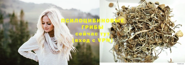 гидра Белокуриха