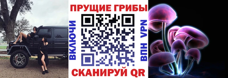 mega вход Выборг Псилоцибиновые грибы Cubensis